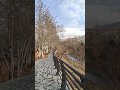 صدای محیط و لختی درختان 