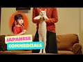 Japanese Commercials | Best Picks From Week 08 of 2024