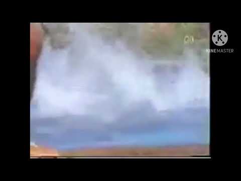 Sesame Street -