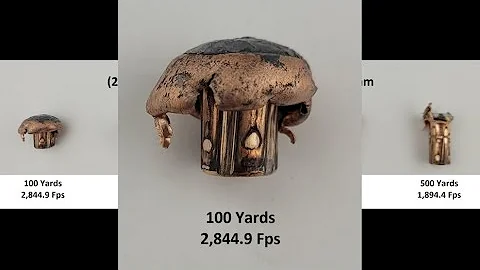 (280 AI) Speer 145gr Grand Slam Expansion Test