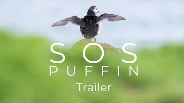 SOS Puffin Trailer (Narrated by Megan McCubbin)