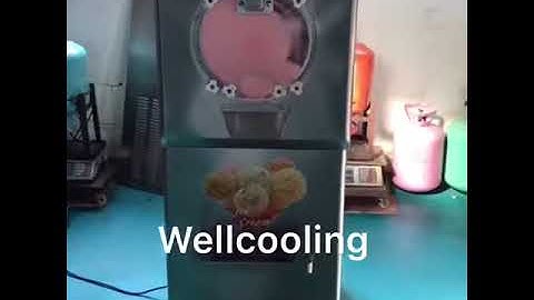 Wellcooling Gelato Hard Ice Cream Machine Batch Freezer ICM-T28S