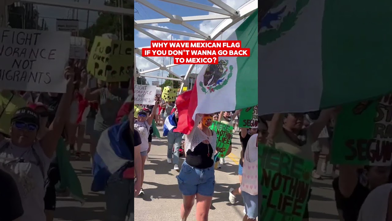 why wave Mexican Flags of you Don't wanna Go Back to Mexico? 