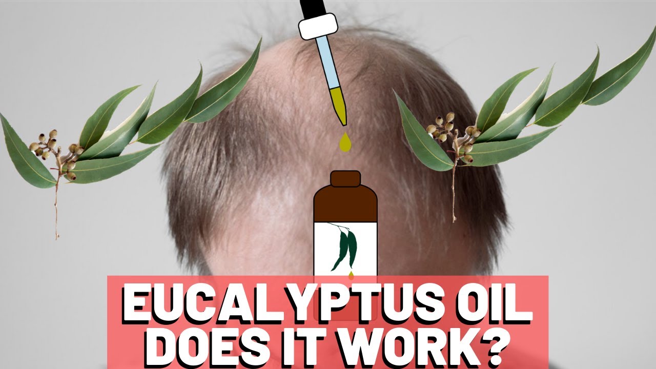 5 Amazing Benefits Of Eucalyptus Oil For Hair Growth  Uses Application  Precautions  CashKaro Blog