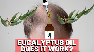 Eucalyptus Oil For Hair Growth - Does It HELP