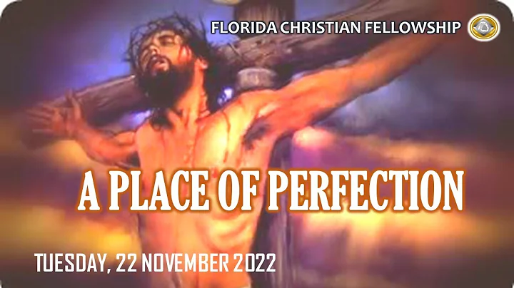 Tuesday 22nd November 2022 | A Place Of Perfection...