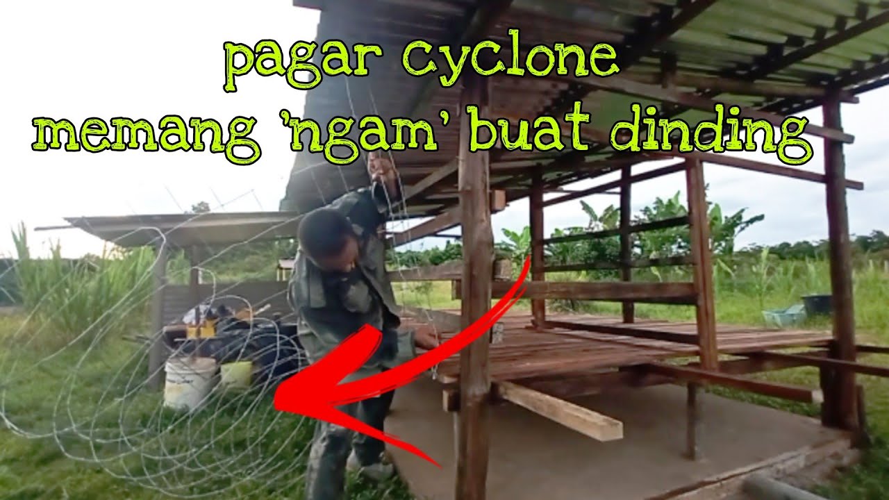 [Episod609] cuba jaya guna pagar cyclone untuk dinding kandang biri² ...