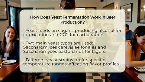 How Does Yeast Fermentation Work in Beer Production? - The Pint Guy