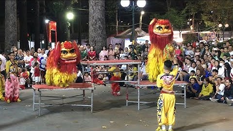 Mãn Nhãn Múa Lân Đỉnh Cao tại Công Viên Tao Đàn | Spectacular Lion Dance at Tao Dan Park 🎭
