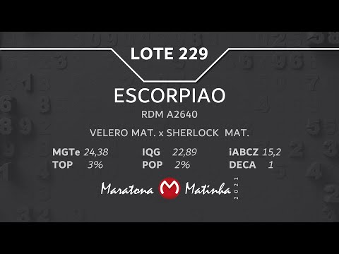 LOTE 229 Maratona Matinha