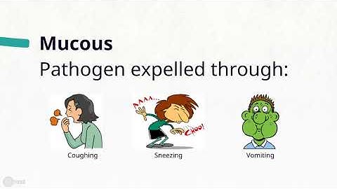 Demystifying Mechanism of Innate Immunity