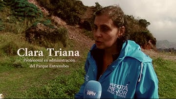 COLOMBIA 2017 World Day celebration