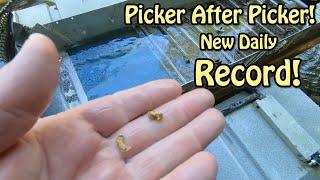 Crazy Gold! Picker After Picker! Slow Start, Ends With A Bang! by American Gold Prospectors 7,879 views 11 months ago 23 minutes