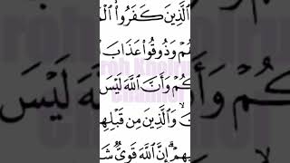 Download Lagu MUROTTAL Qur'an JUZ 10)) Ruroh Khoiruroh #tilawah #murottal #belajaralquran #tadarus MP3