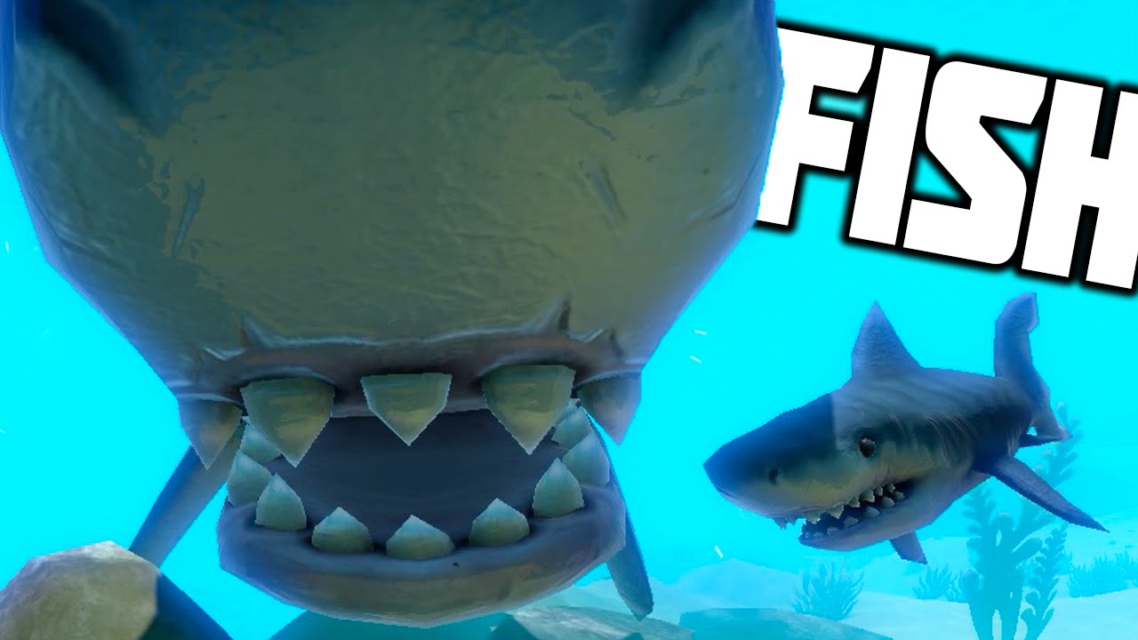 fish feed and grow great white shark fish feed and grow great white shark