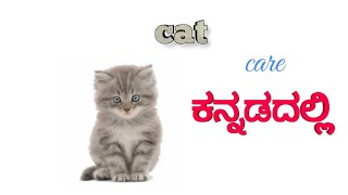 Cat care in Kannada | ಬೆಕ್ಕಿನ ಕಾಳಜಿ ಕನ್ನಡದಲ್ಲಿ