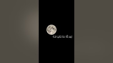 حالات واتس اب قرآن كريم 🤍| أكتب شئ تؤجر عليه 🤍