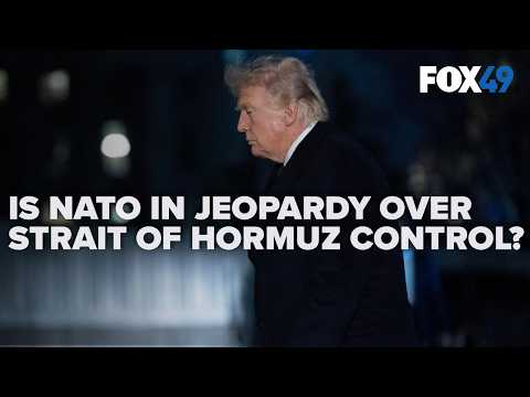 Video Trump warns NATO of weakening alliance if they refuse to help secure Strait of Hormuz