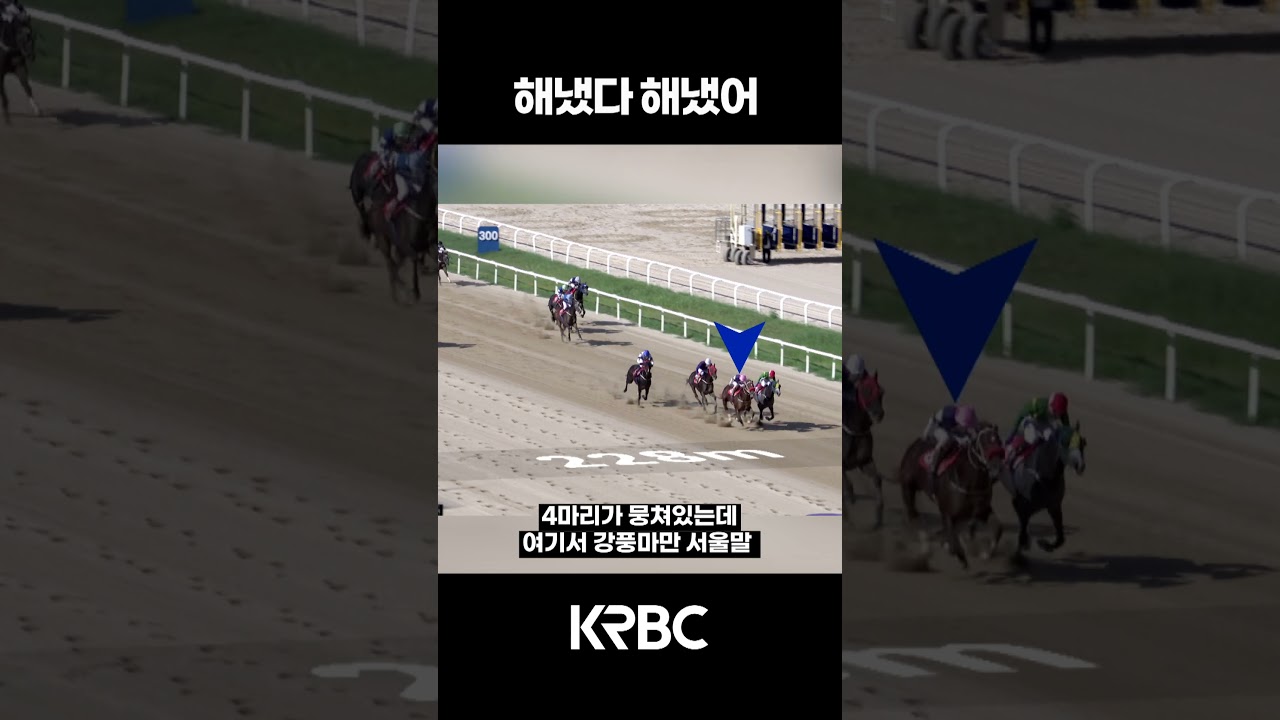 4년만에 했다;; #shorts #경마방송 #기수 #경주마 #경마 #KoreaHorseRacing