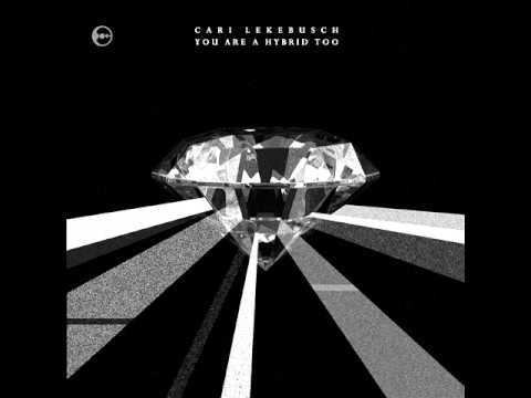 Cari Lekebusch - Pinnacle Of Desolation (Original mix)