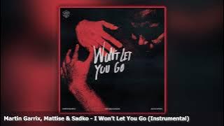 Martin Garrix, Matisse & Sadko - Won't Let You Go (Instrumental)