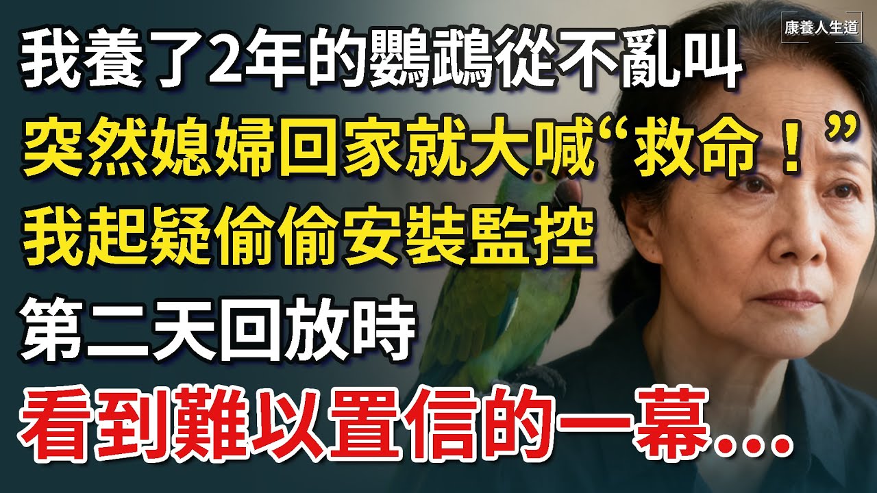 我養了2年的鸚鵡，從不對人亂叫，見到兒媳卻大喊「救命！」 我起疑偷偷安裝監控，第二天回放監控時，看到了難以置信的一幕…​【康養人生道】 #康養人生道 #上了年紀該明白的事 #養老 #聰明老人