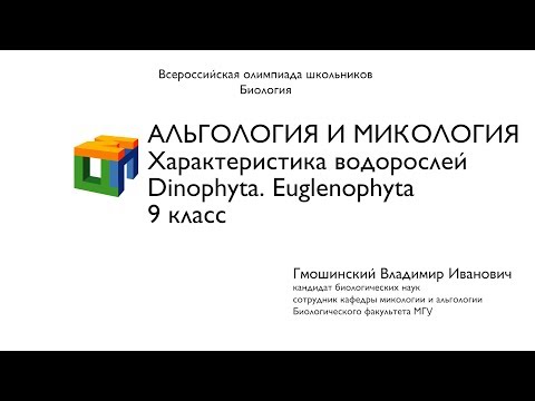 Видео: Являются ли конидии и апланоспоры одним и тем же?