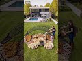 A Giant puppy made by flowers #shorts #garden #plants #flowers