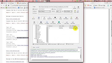 إختراق المواقع وإستخراج قاعدة البيانات والأعمدة بأداة HAVIJ