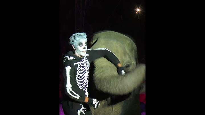 Rene Casselly Jr - Halloween - Magyar Nemzeti Cirkusz 2019