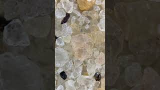 Sand Sample 0018 -- Ponta Do Corumbau, Bahia, Brazil -- Non-burner but nice to look at!