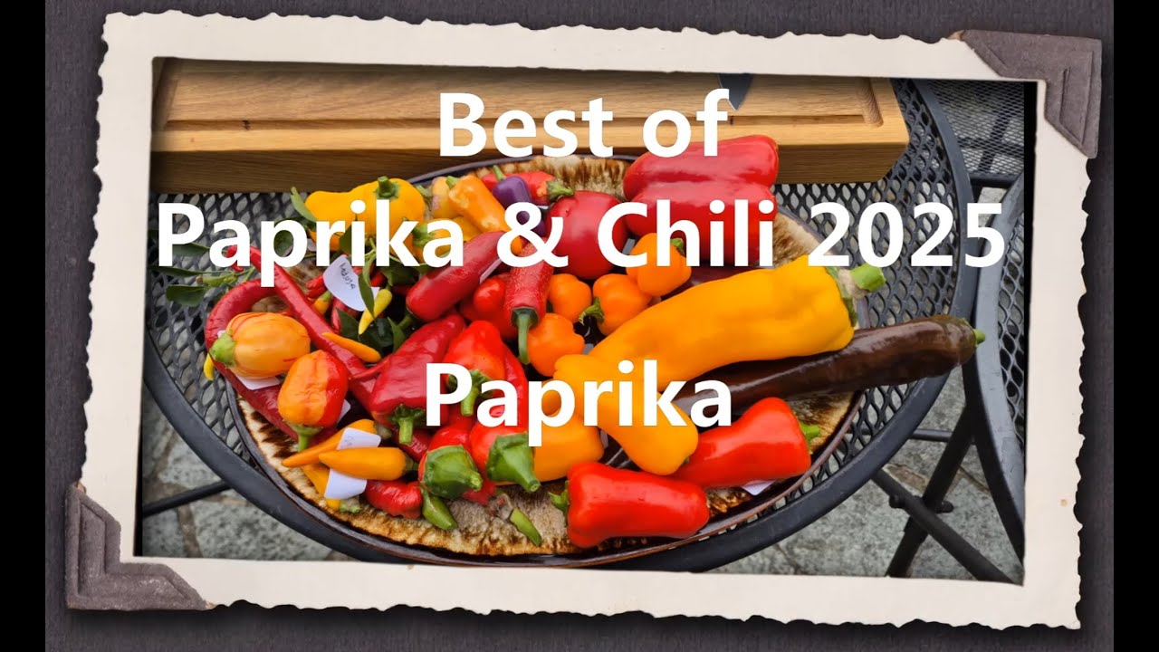 Best of Paprika & Chili 2025 - Paprika