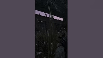 WRONG PLACE WRONG TIME #DayZ #PremeOJ