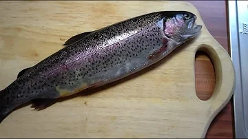 Wie kann man Fisch zubereiten?