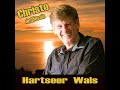 Christo du Plessis - Hartseer Wals (Official Audio)