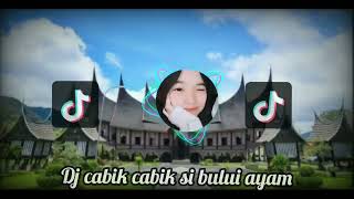 dj minang_cabiak cabiak si bulu ayam ll