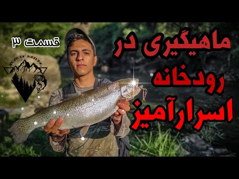 تصویری: ماهی مارماهی رودخانه ای: انواع، منشأ و شیوه زندگی