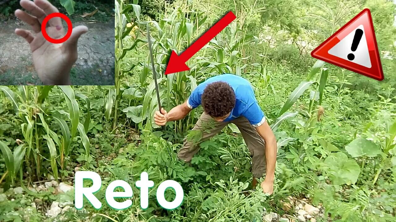RETO LIMPIAR MONTE PROPIEDAD PRIVADA TERMINA MAL camera iphone 8 plus apk
