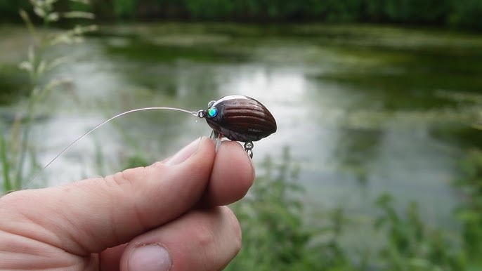 This Tiny Bug Lure Got BLOWN UP! Over and Over Again! 