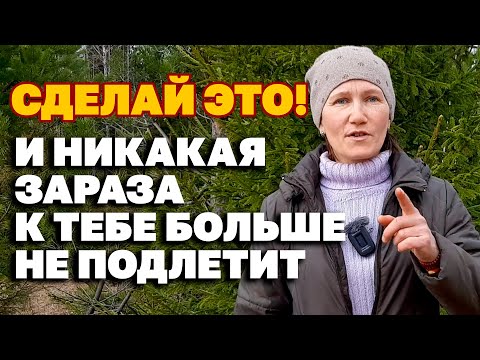 Отпугиватель насекомых своими руками