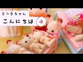 シルバニアファミリー 3つ子ちゃんに会えました🧡赤ちゃんどうやって産まれるの？ 【赤ちゃんシリーズ／シルバニア日記】
