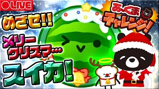 【🍉スイカゲーム VS 悪魔のあ～くま】季節外れのメリークリスマスイカめざす！🎮✨【あ～くまチャレンジ＃９/ゆるくまゲーム実況🐻✨】