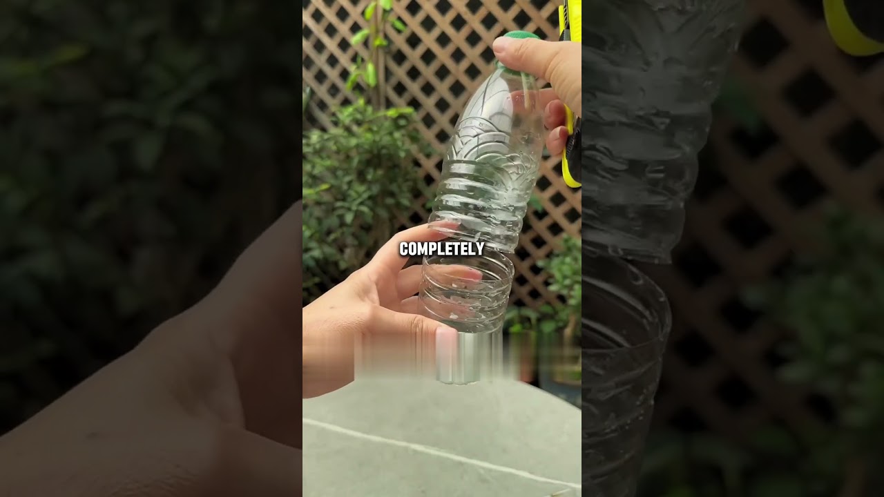 How to Grow Hawthorn from Cuttings