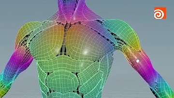 Why Rig in Houdini? | Houdini Rigging Webinar