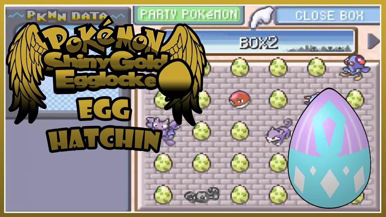 Pokemon Shiny Gold X Egglocke Hatching All The Eggs Youtube