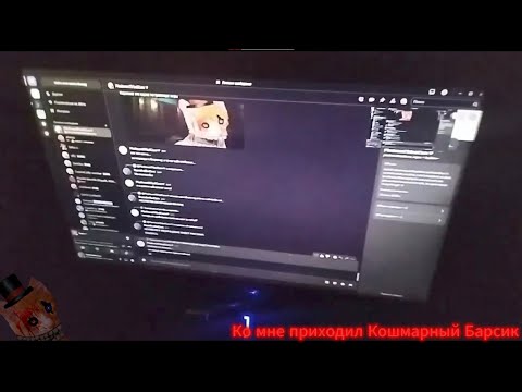 КО МНЕ ПРИХОДИЛ КОШМАРНЫЙ БАРСИК: Видео по поводу выхода новых видео