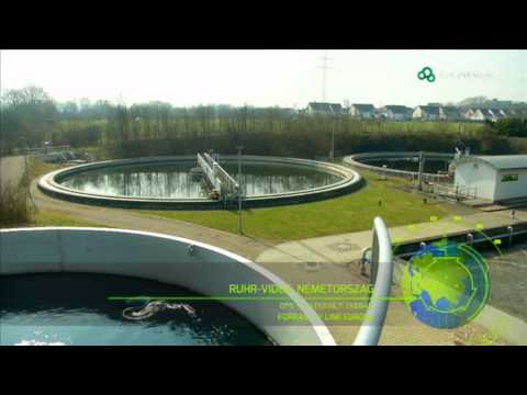 Videó: Mi a vízszennyezés pontokban?