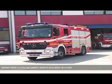 65ENNE PERDE LA VITA TAGLIANDO IL RAMO DI UN ALBERO | 16/11/2021