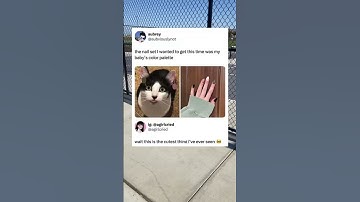 Cats color palette for her nails