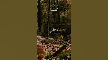 #سورة_المائدة للقارئ عبدالرحمن مسعد #quran